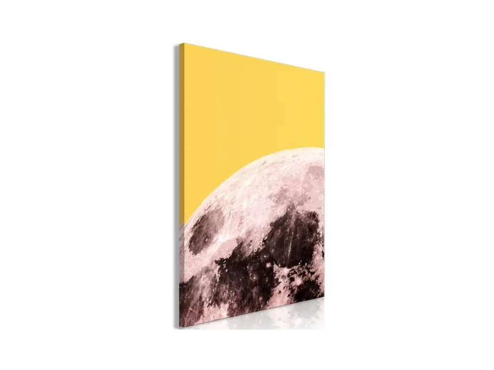 Tableau Sunny Moon (1 Part) Vertical : Taille - 60 x 90 cm