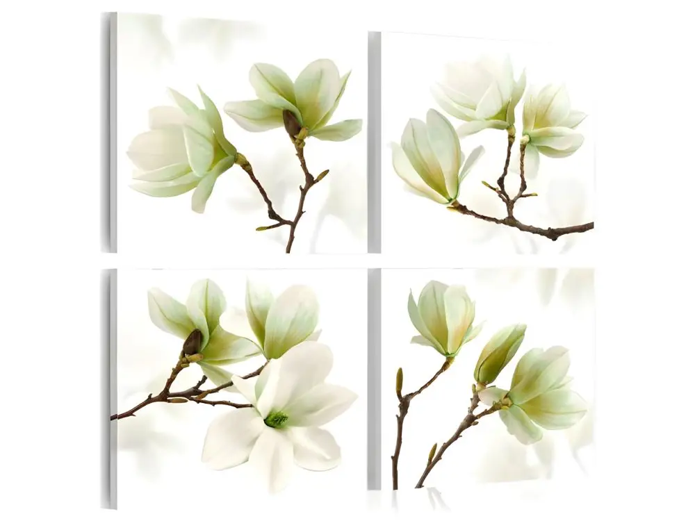 Tableau Admiration of Magnolia : Taille - 80 x 80 cm