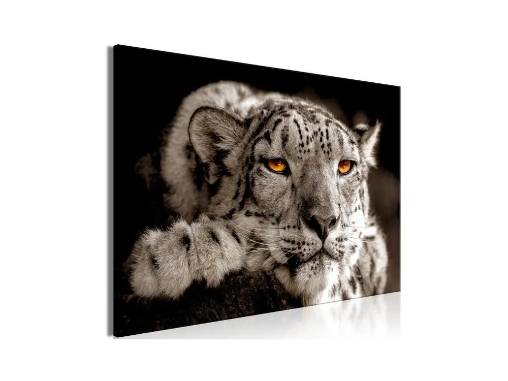 Tableau Magic Eyes 1 Pièce Wide : Taille - 120 x 80 cm