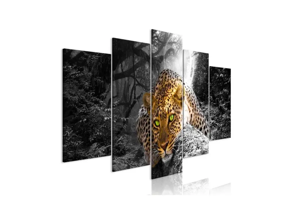 Tableau Leopard Lying 5 Pièces Wide Grey : Taille - 100 x 50 cm