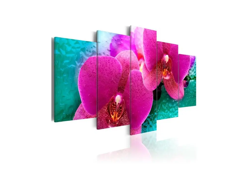 Tableau Fleurs Exotic orchids : Taille - 100 x 50 cm